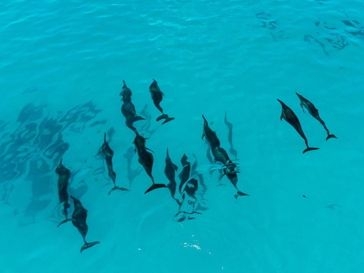 Reef Edge Thulusdhoo, Maldives Hotel Bagian luar foto